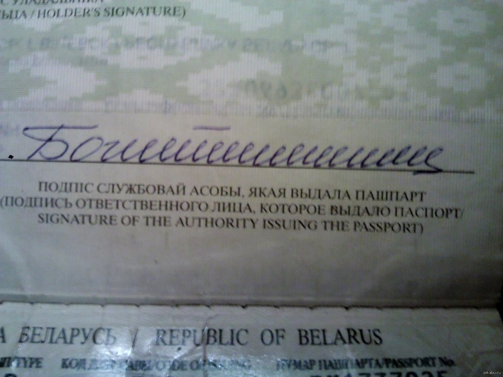 Прикольные подписи в паспорте