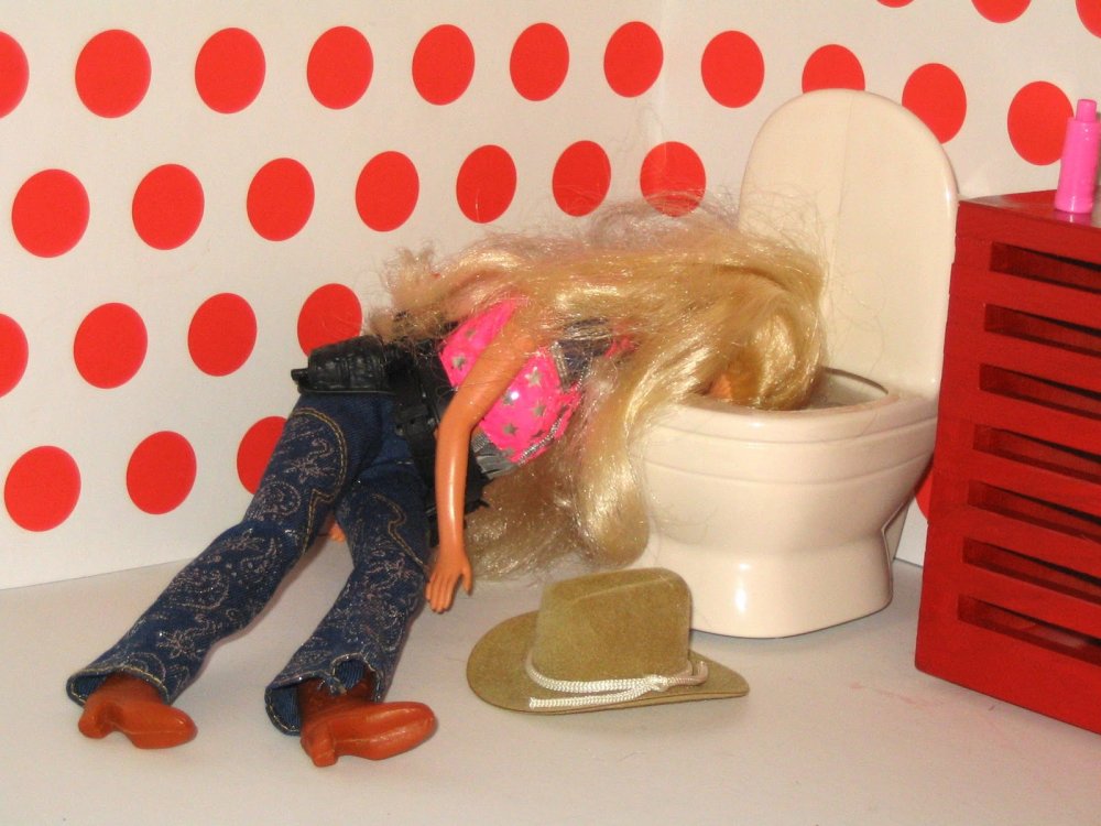 Кукла Барби и Кен бухают