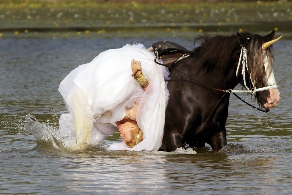 Жених и невеста на лошадях