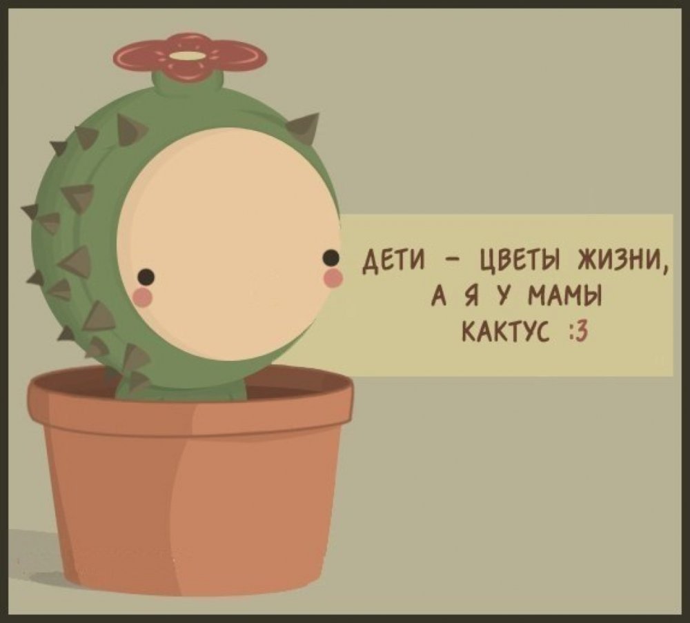 Афоризмы про кактусы