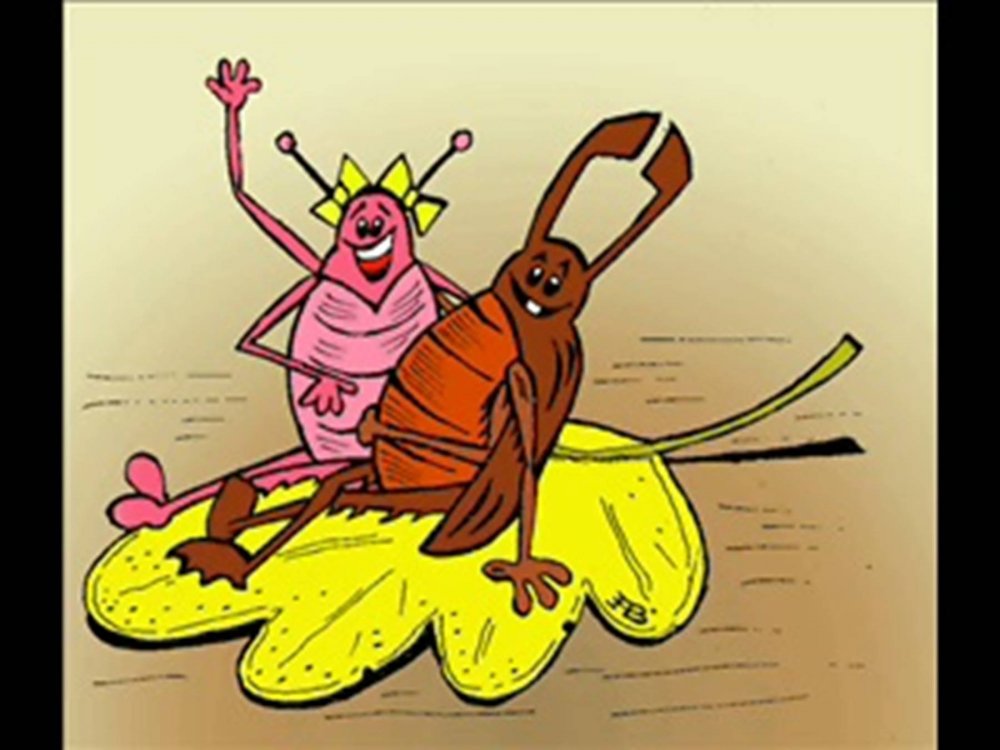 Прикольные жуки