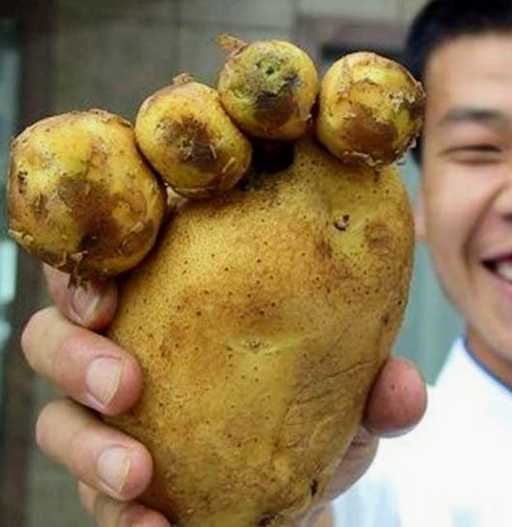 Веселая картошечка
