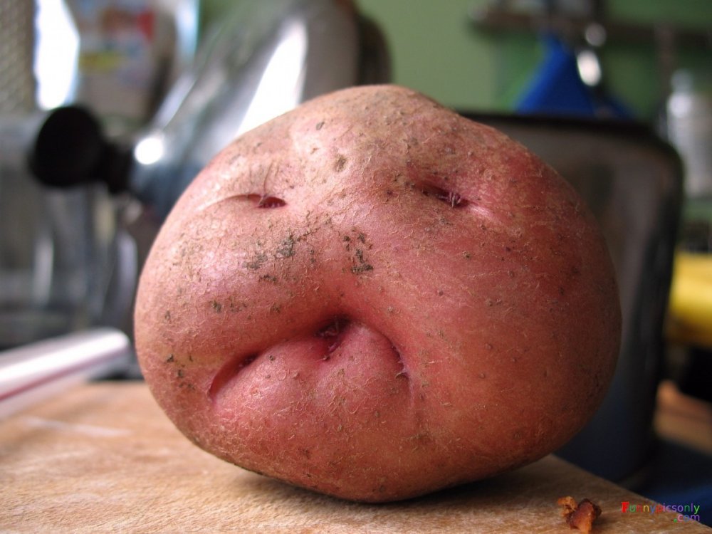 Картофелина с глазками