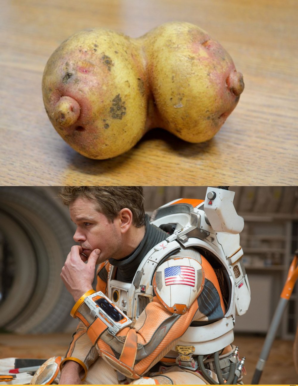 Шутки про картошку