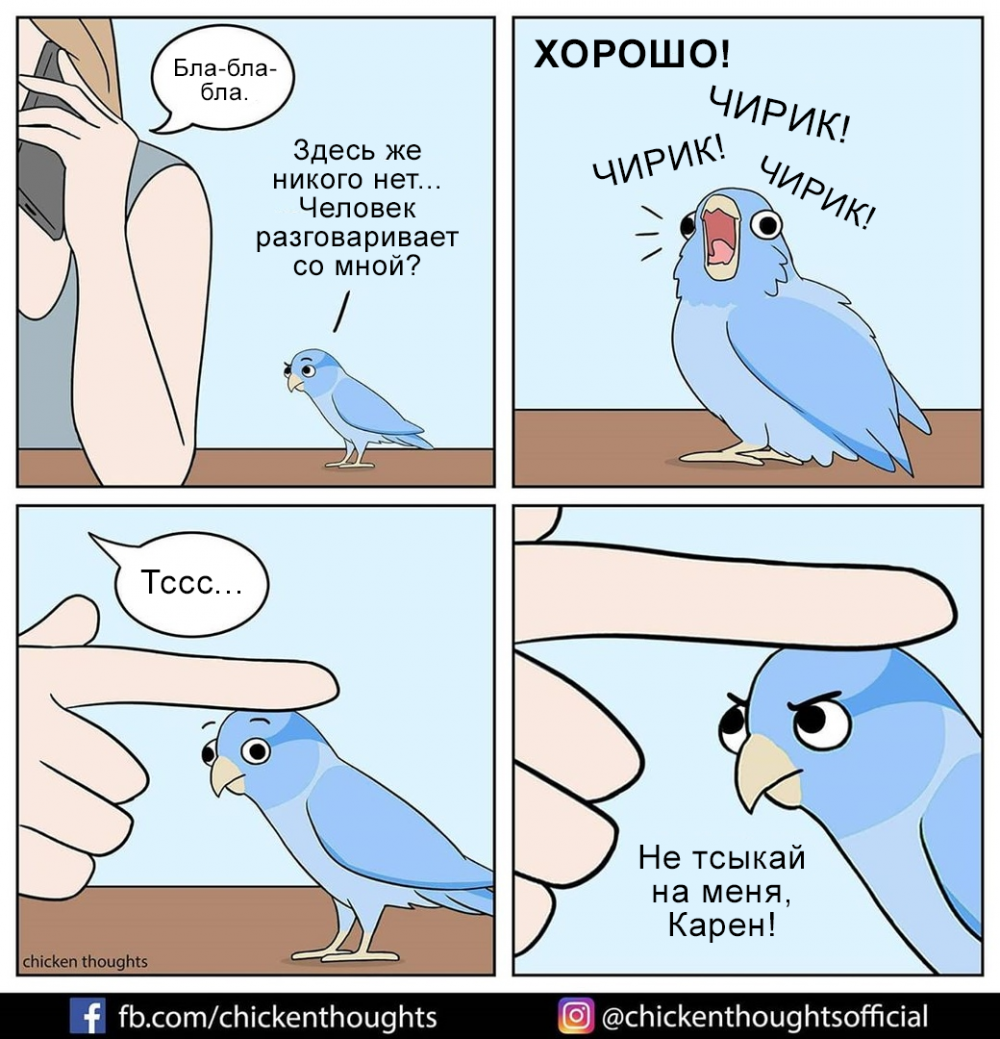 Комикс с попугаем