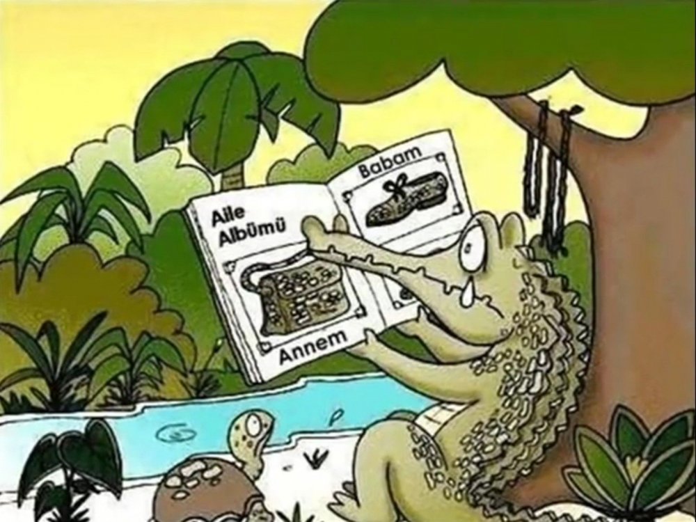 Крокодил юмор