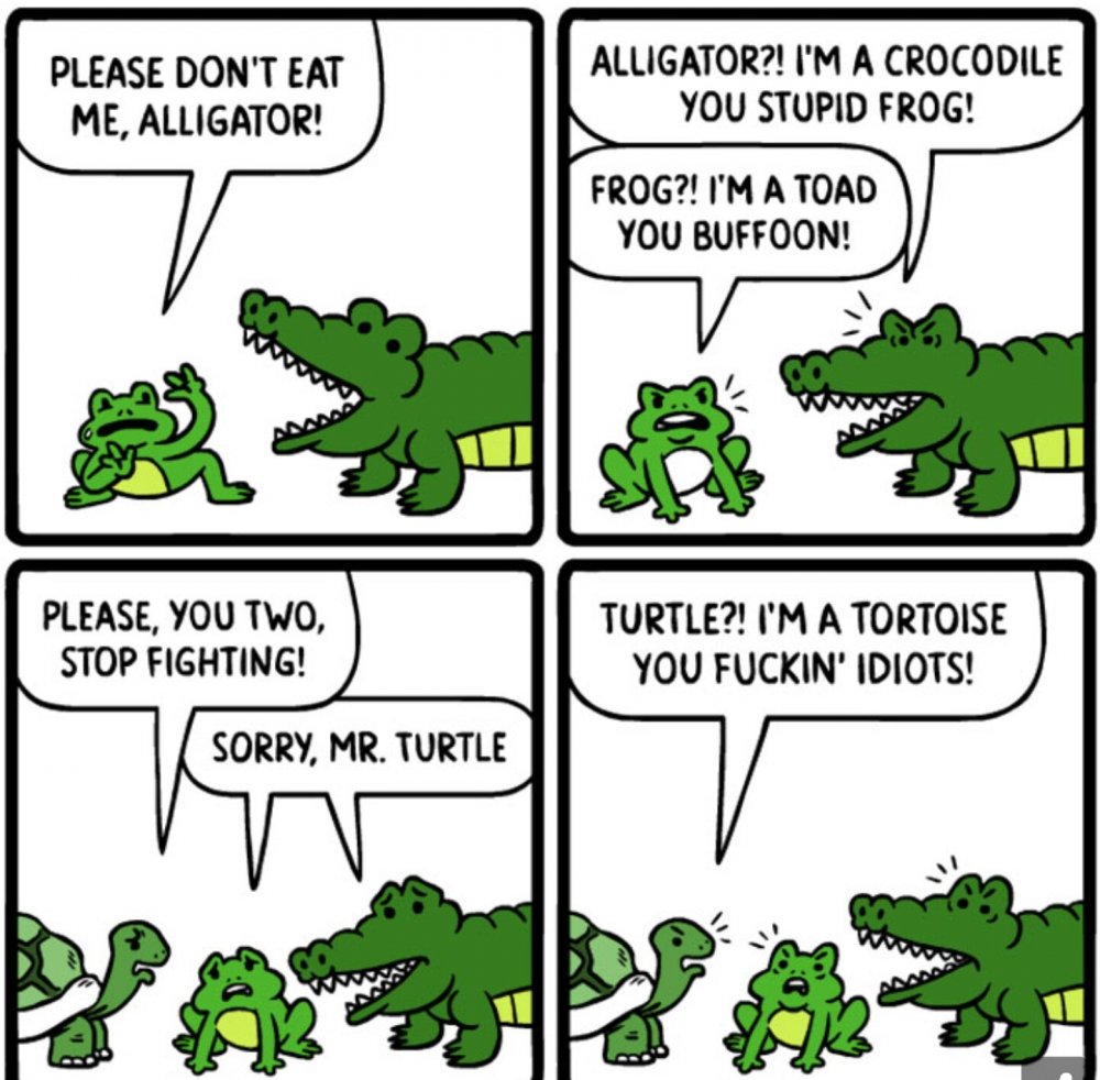 Шутки про крокодила