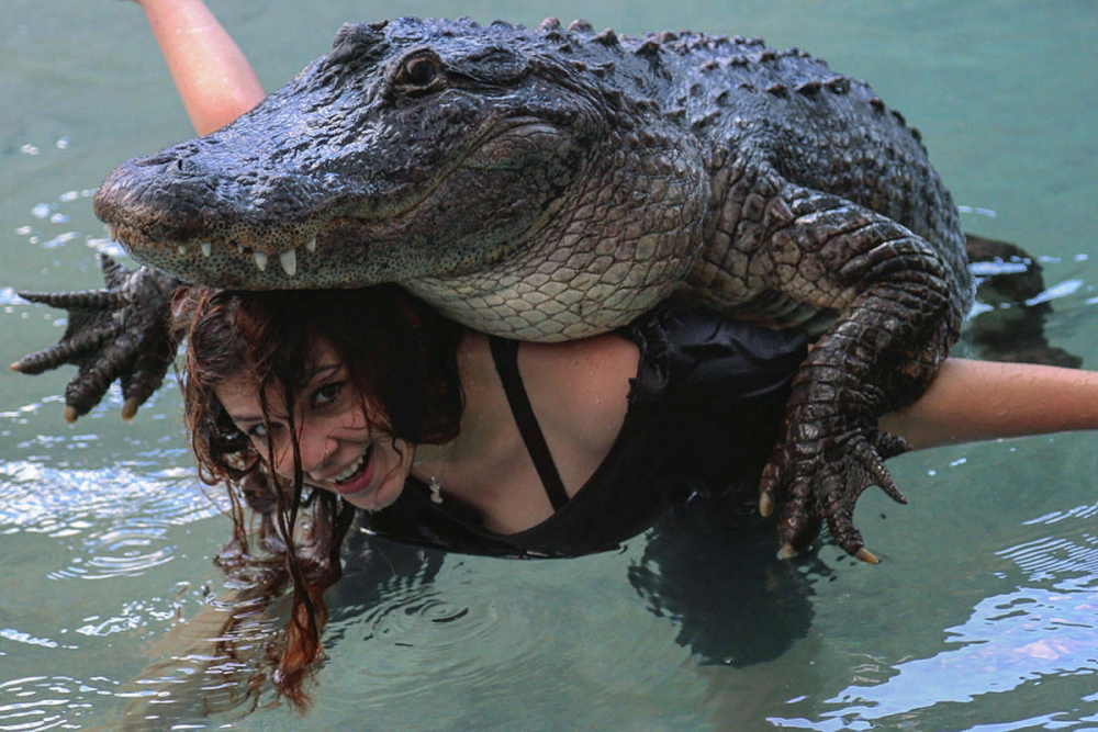 Фотосессия с крокодилом