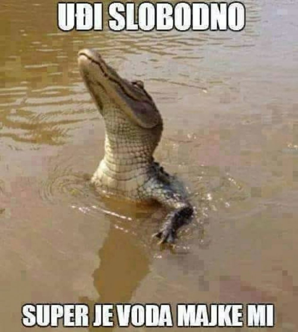 Крокодил прикол