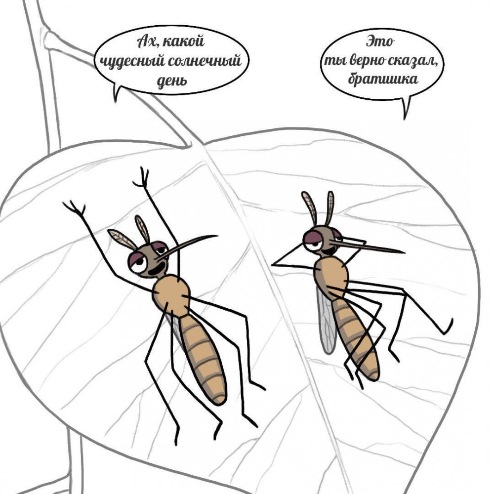 Смешной комарик