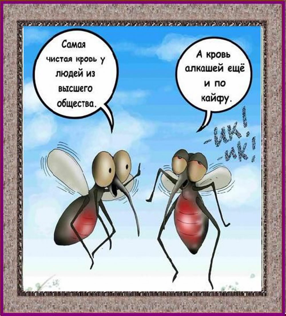 Шутка про комара