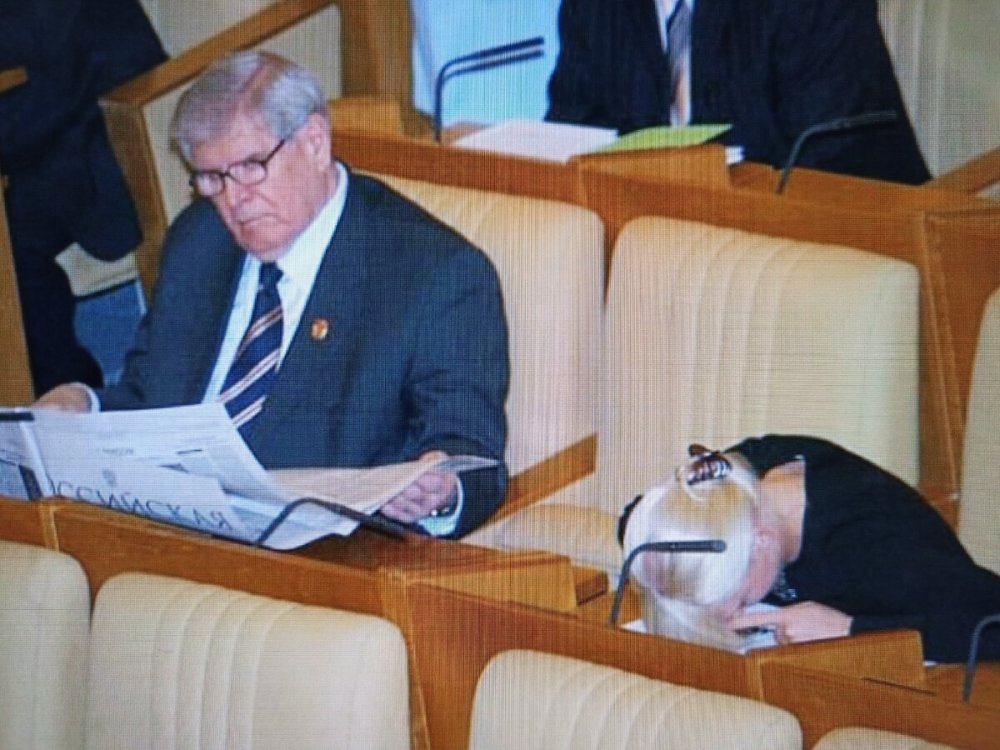Спящие депутаты Госдумы