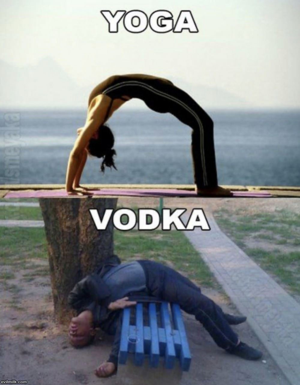 Мем йога водка