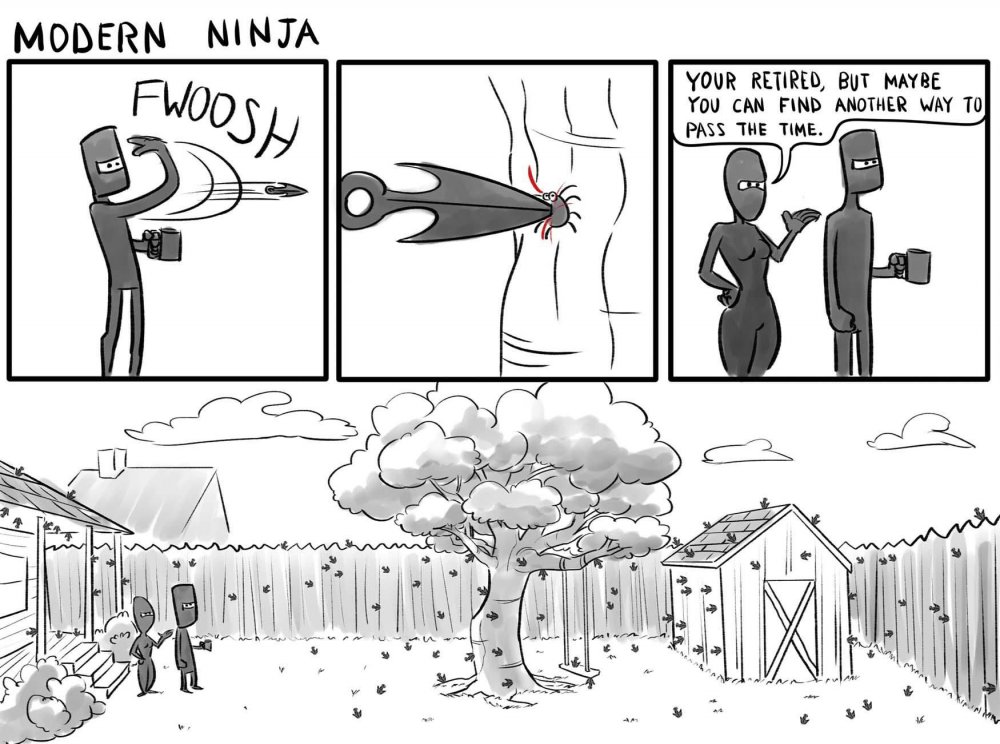 Смешные комиксы про ниндзя