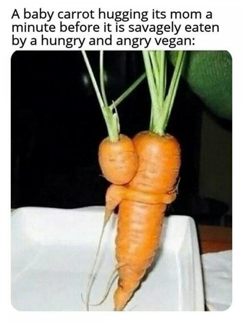 Моя морковка
