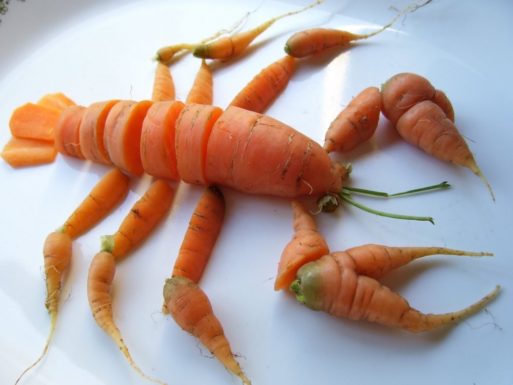 Поделка морковь