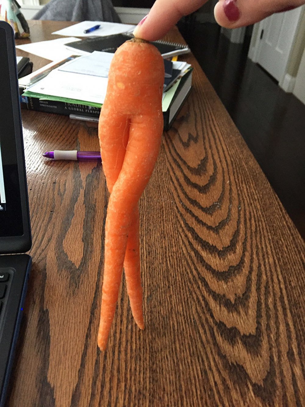 Морковка с ножками