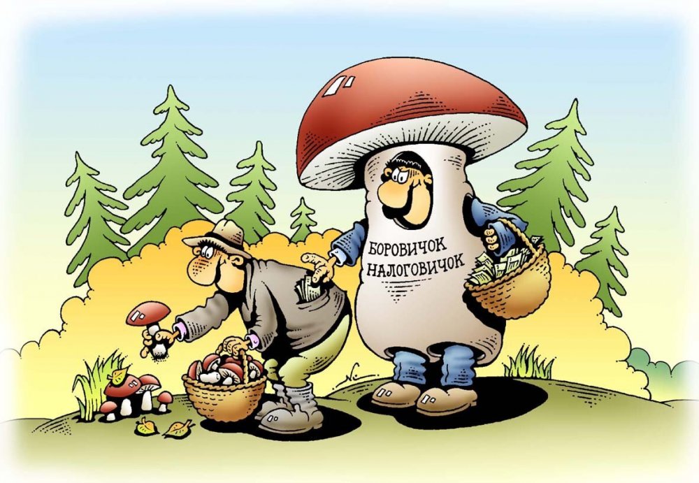 Карикатура сбор грибов