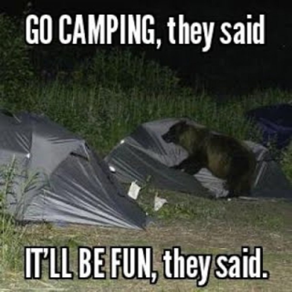Палаточный лагерь приколы