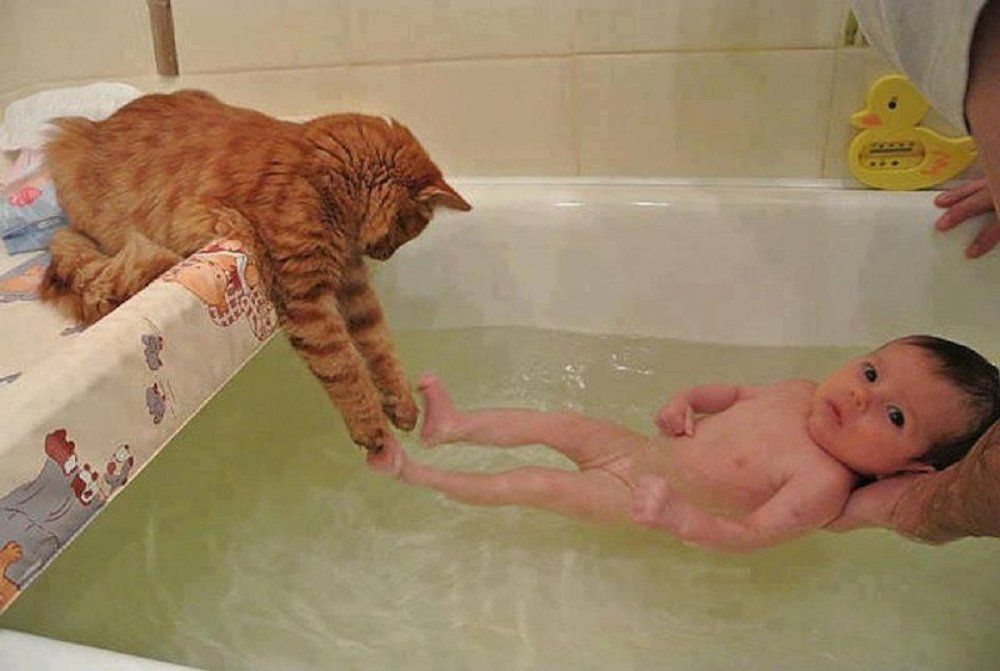 Кот и ребёнок в ванной