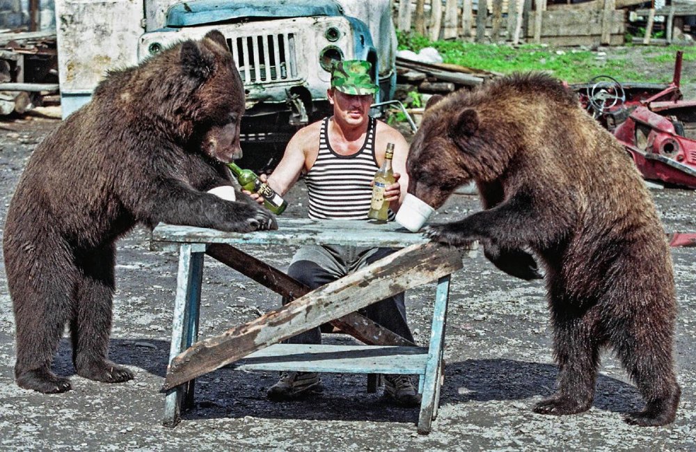 Медведь бухает