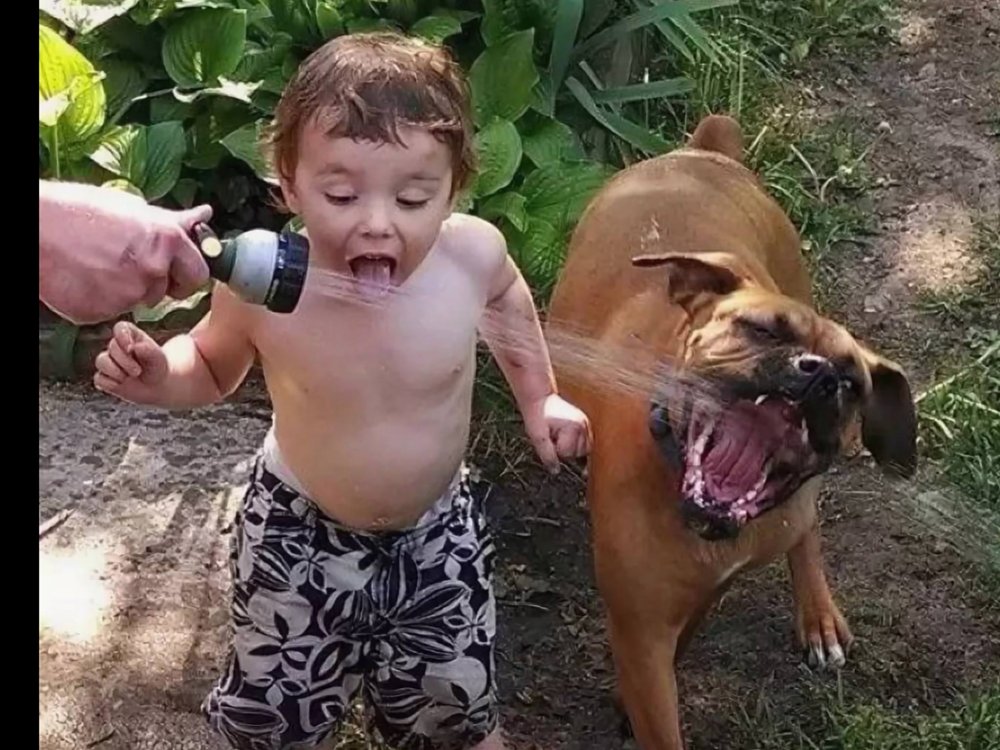 Смешные дети с животными