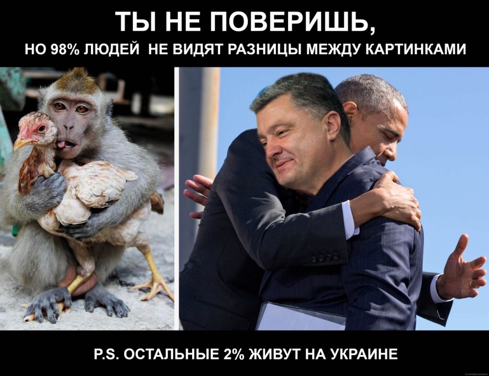 Политические приколы Украина