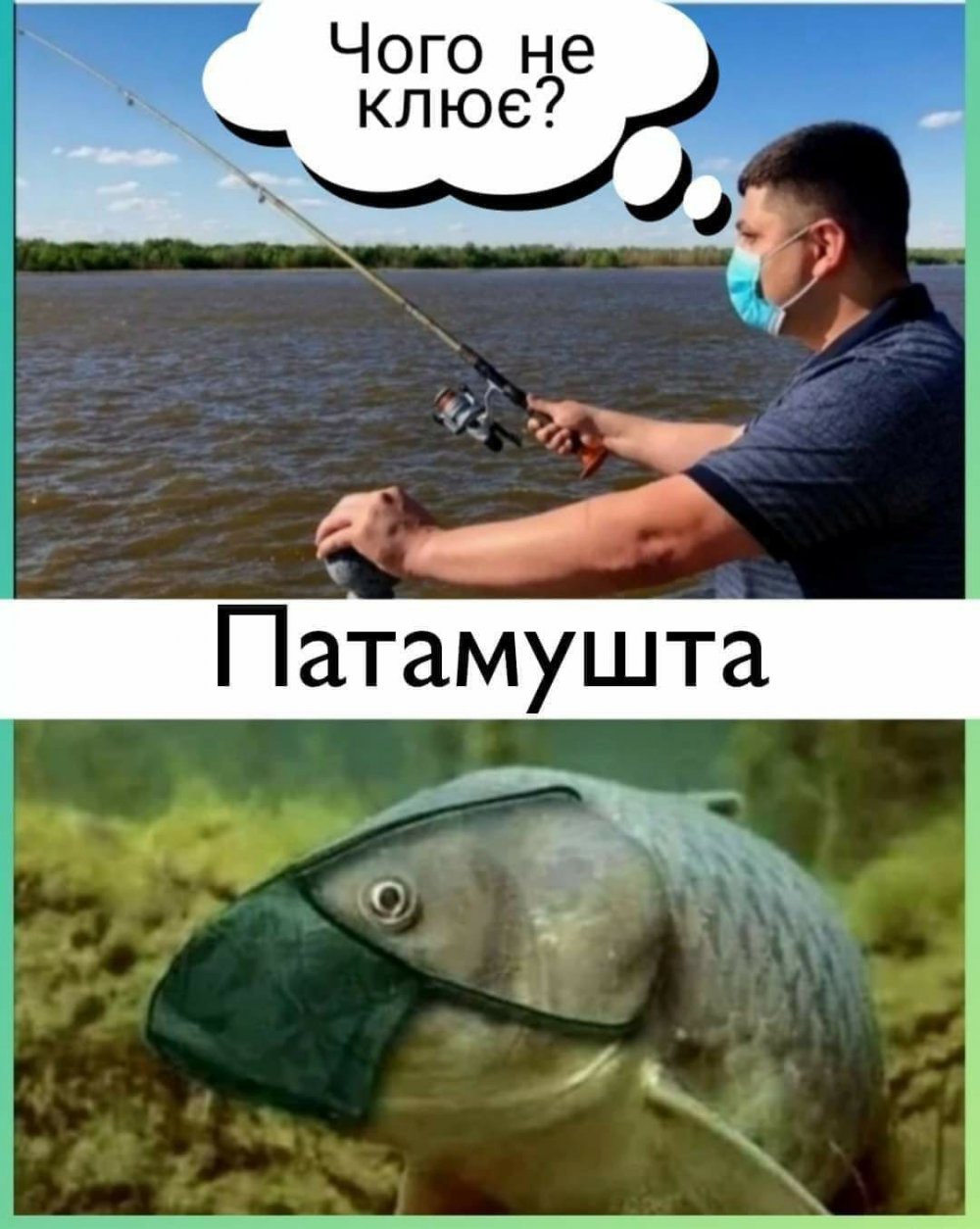Рыба прикол