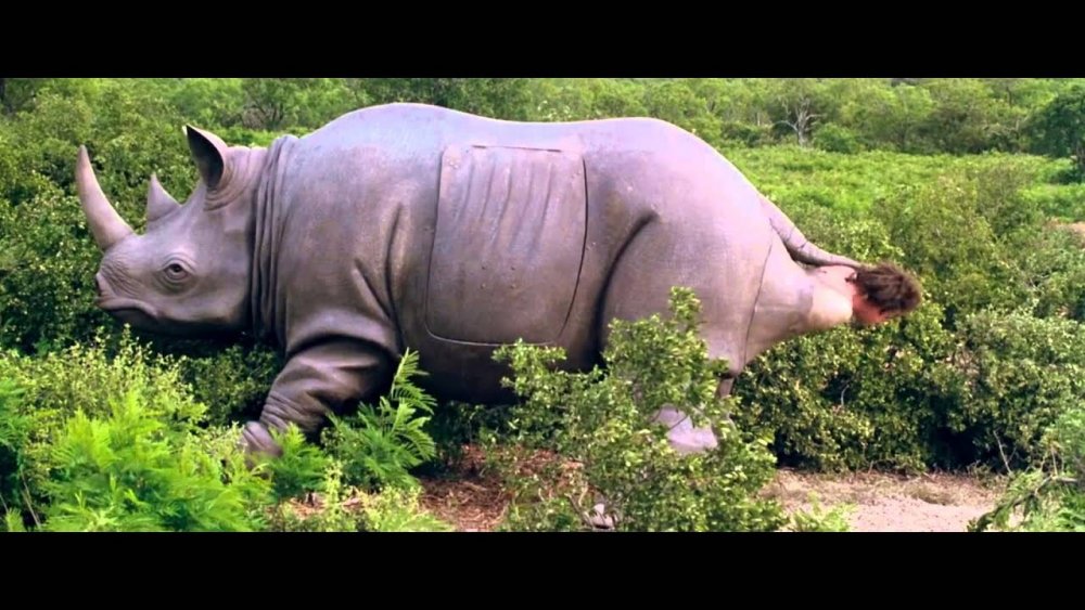 Открытка с днем рождения с носорогом