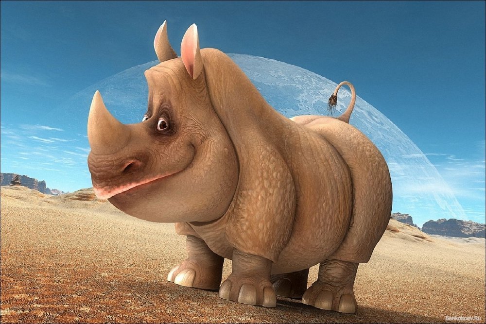 Веселый носорог