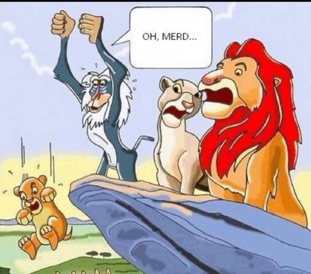Король Лев шутки