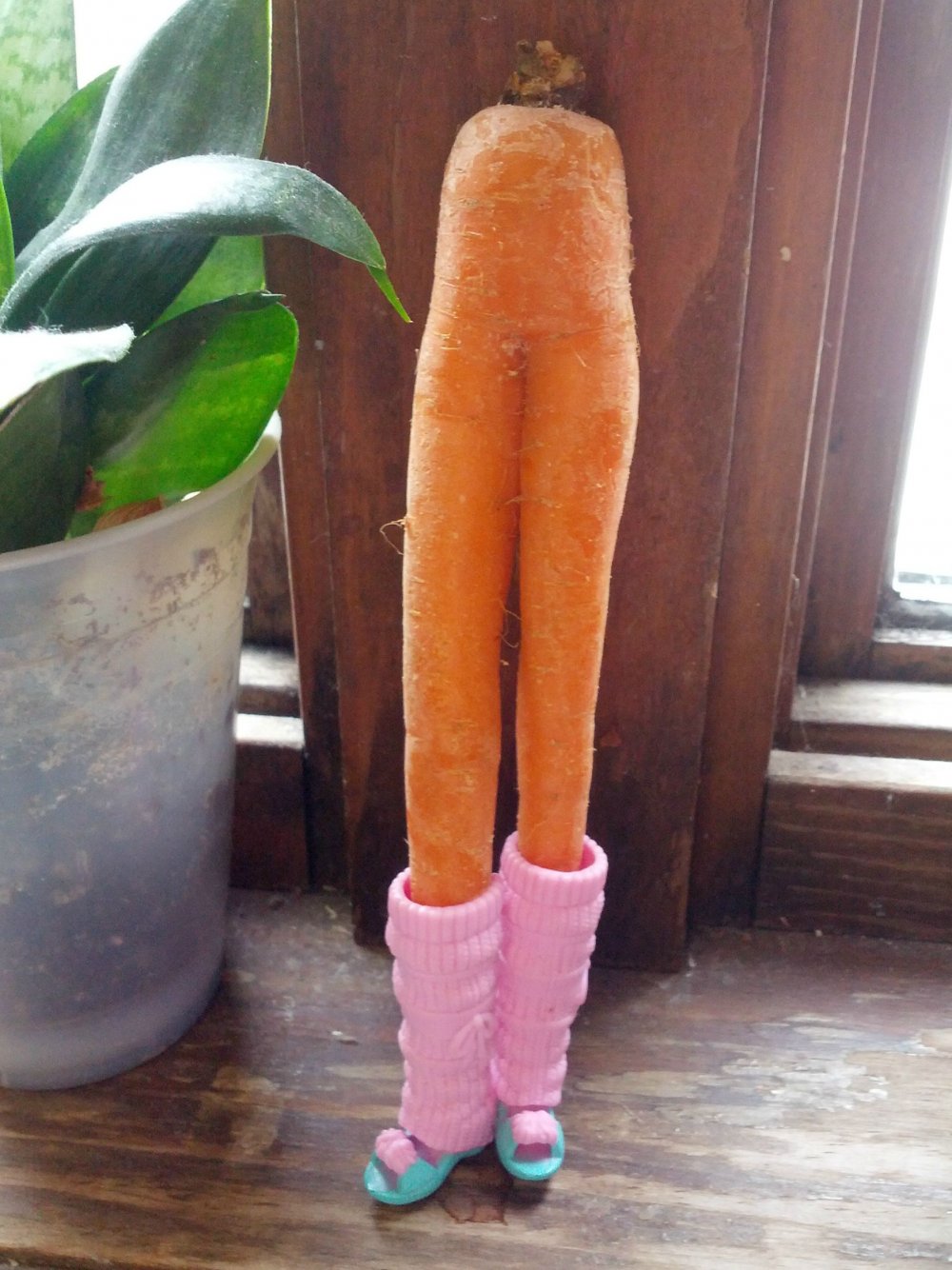 Морковка с ножками