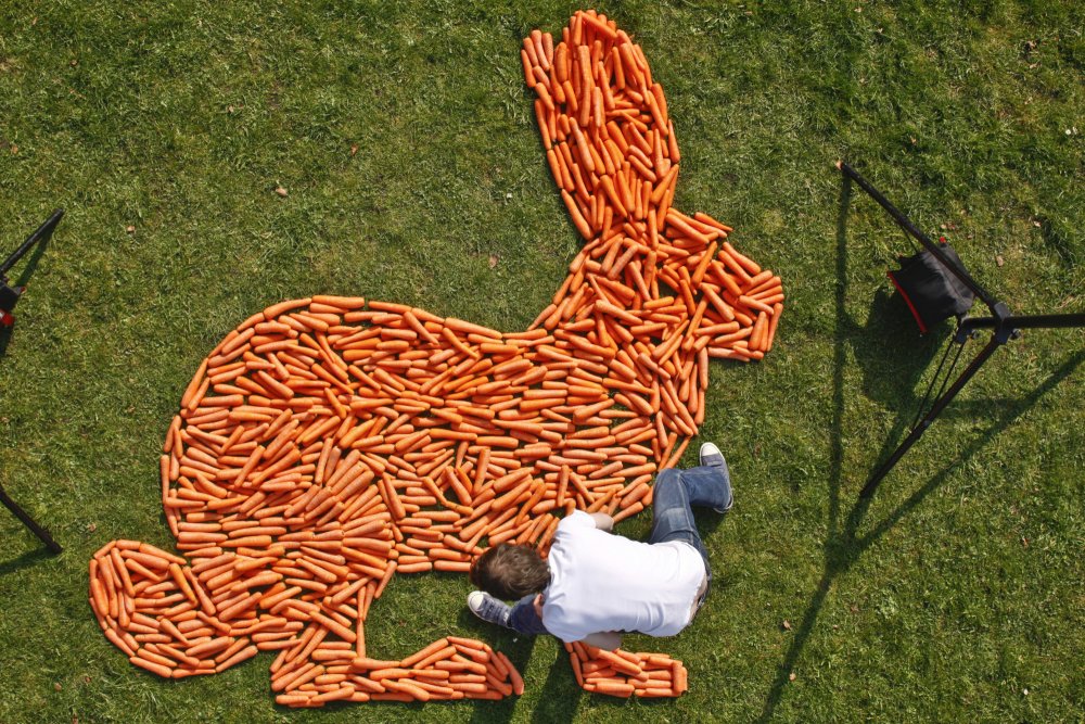 Приколы из морковки