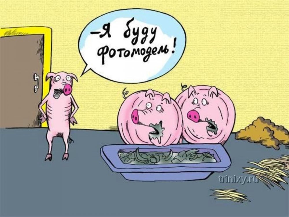 Свинья карикатура