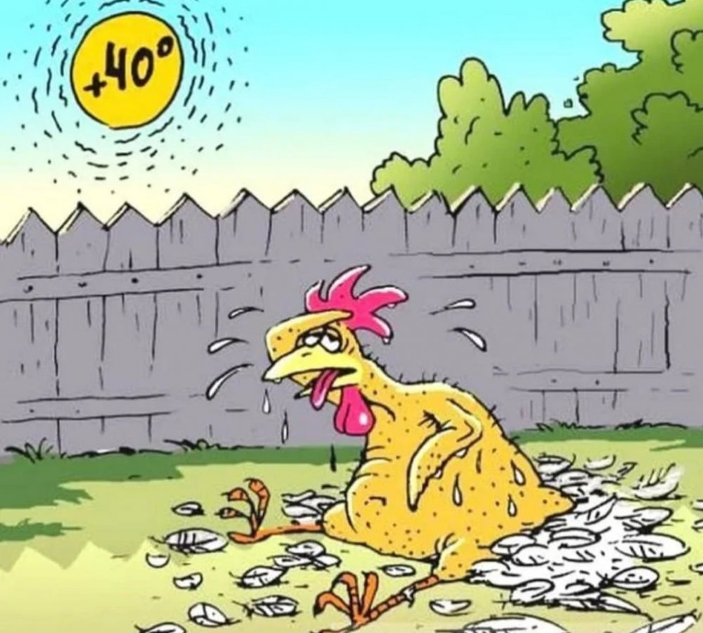 Анекдоты про жару
