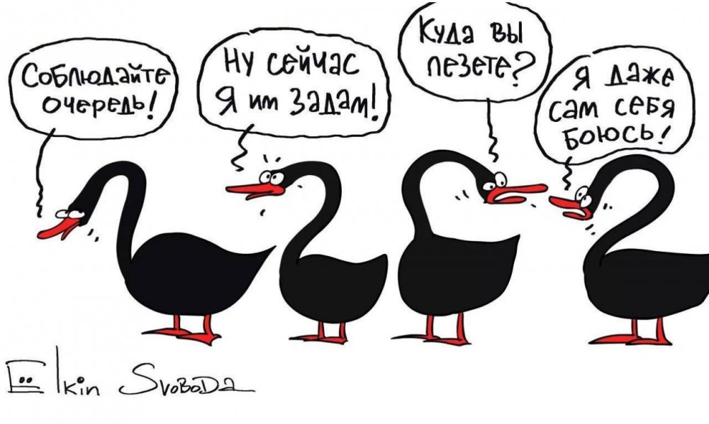 Черный лебедь карикатура