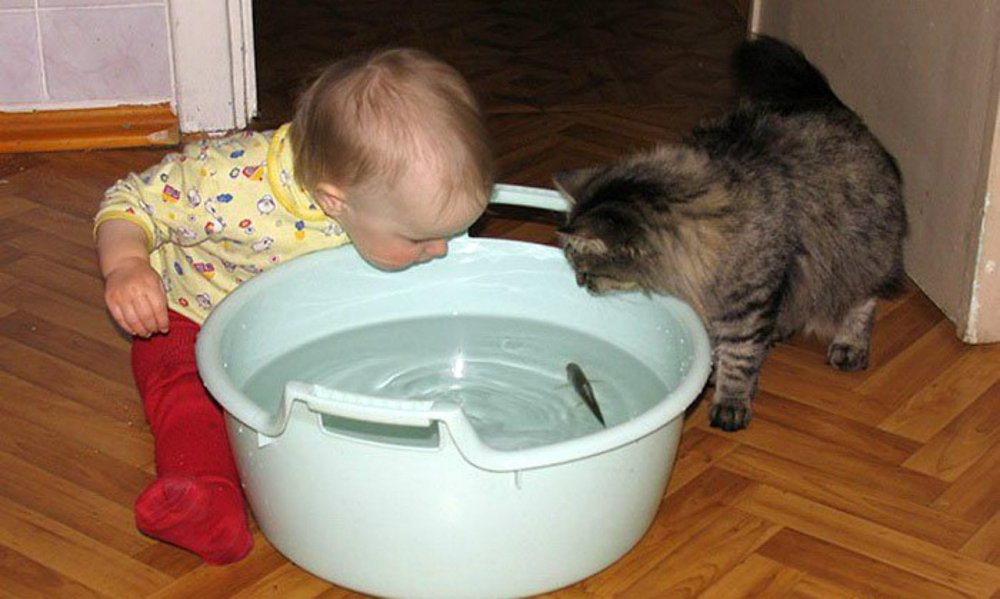 Котики утешают малышей