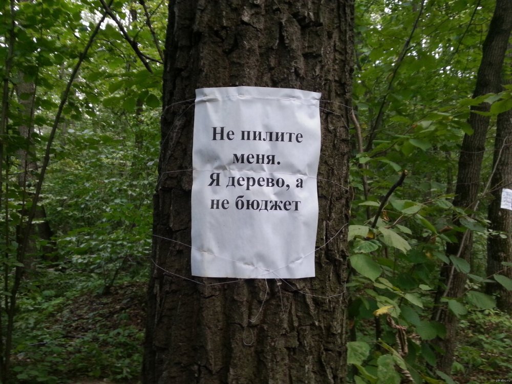 Смешной лес