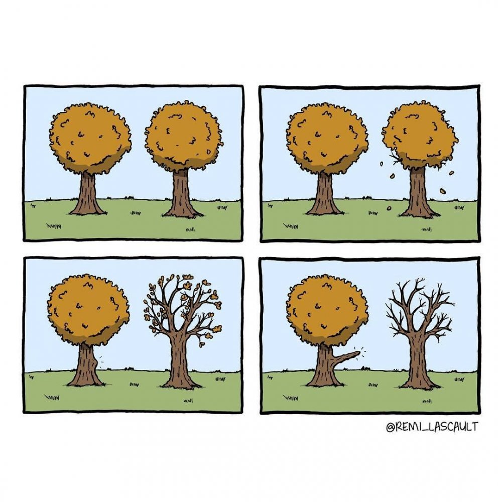 Мемы с деревом