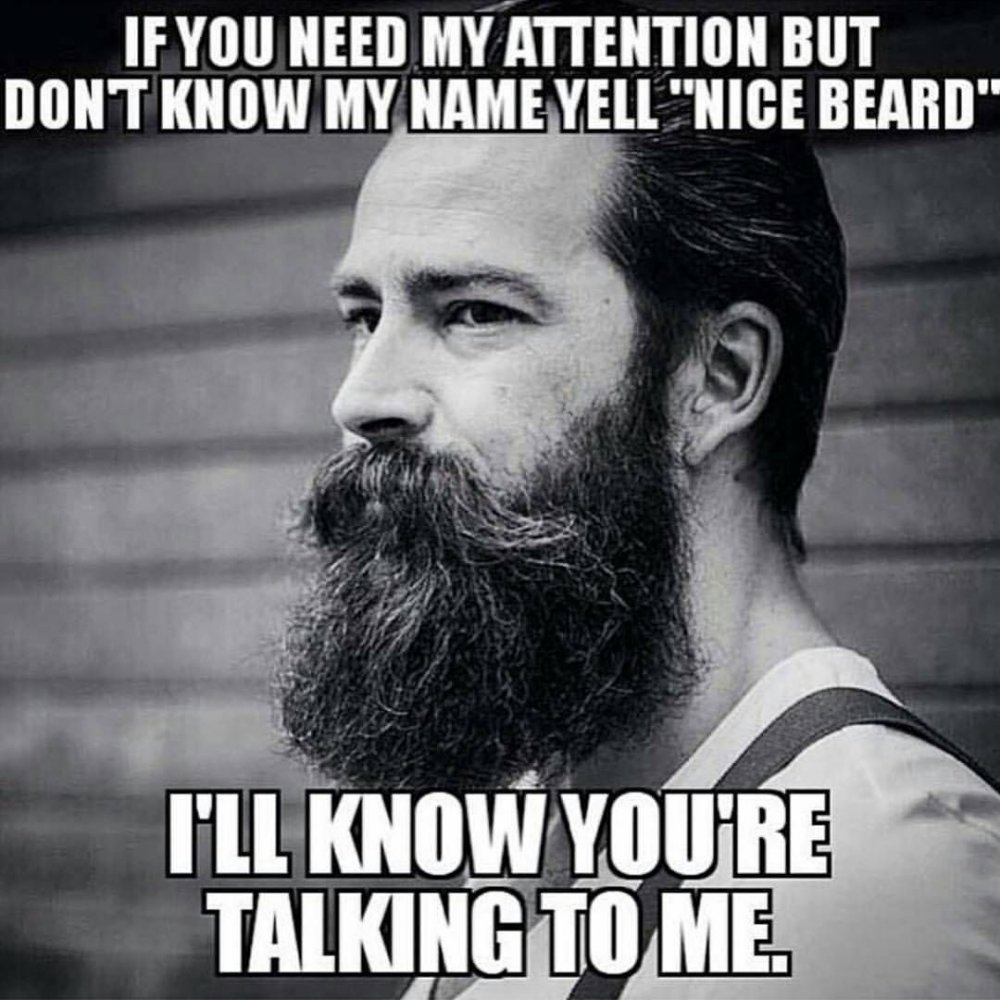 Цитаты о бородатых