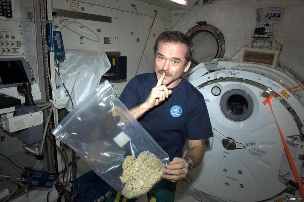 Астронавт Крис Хэдфилд с марихуаной.