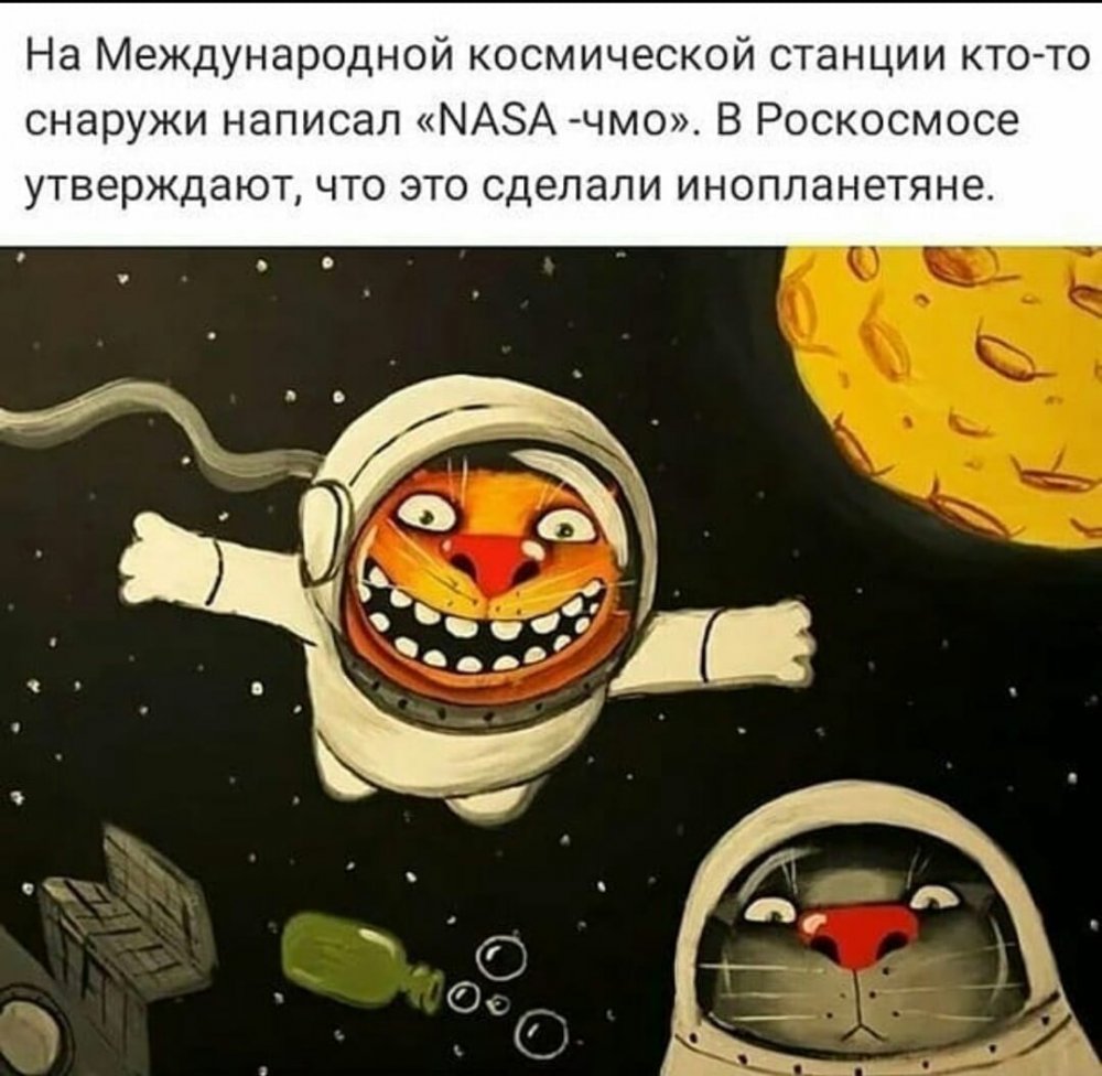 Космонавт Васи Ложкина