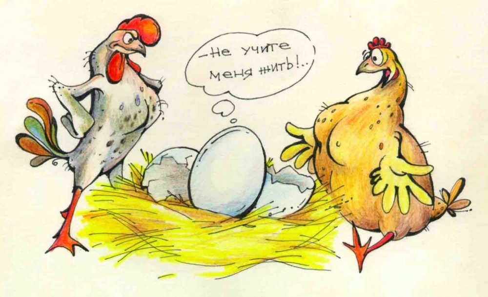 Яйцо учит курицу