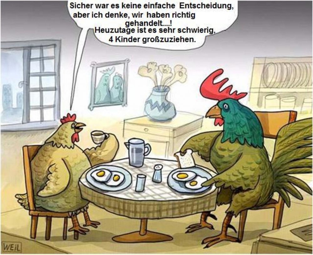 Карикатура про курицу и яичницу