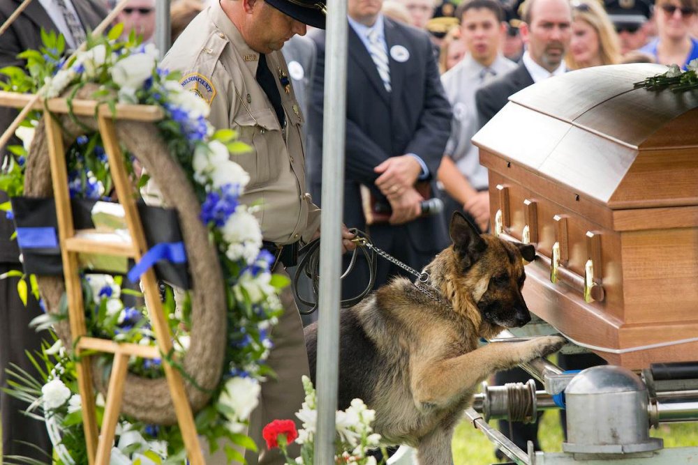 Похороны служебных собак