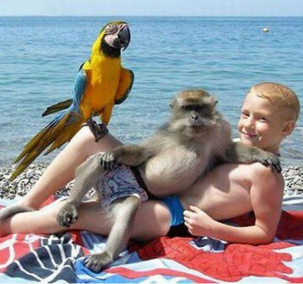 Фотограф с обезьянкой на пляже