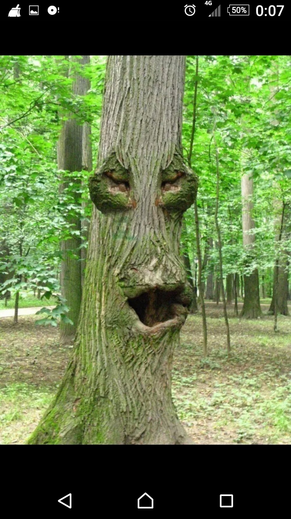 Скульптура дерево