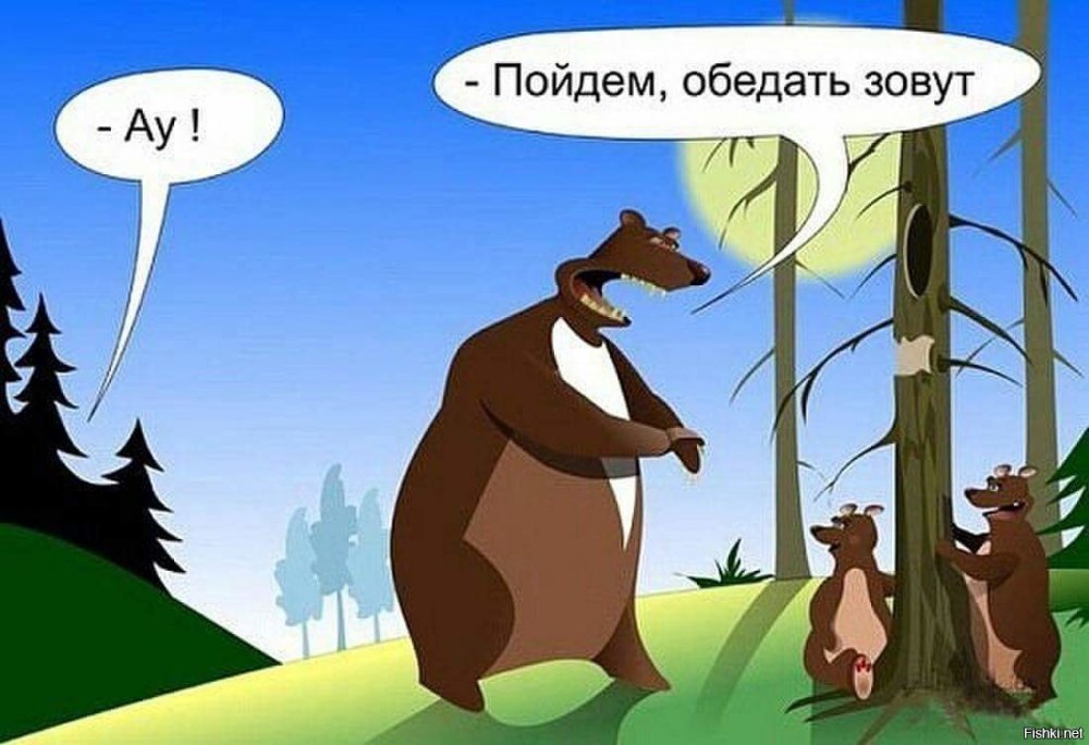 Анекдоты про лес