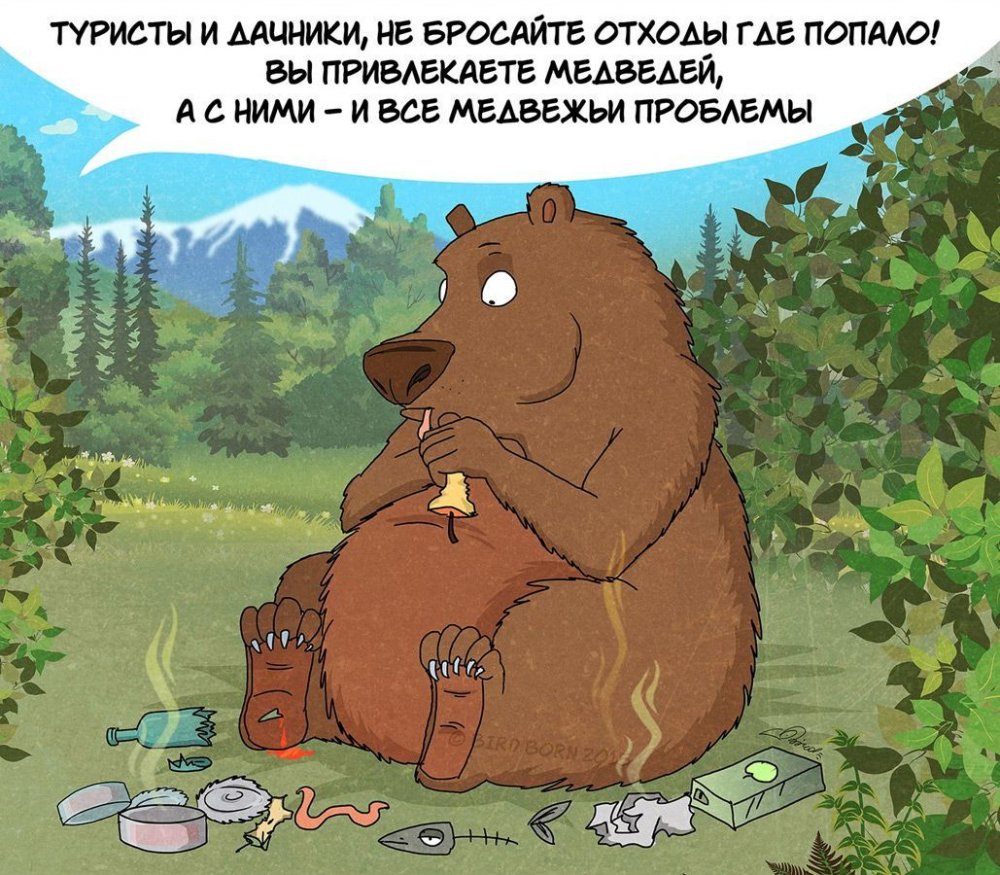 Факты о медведях