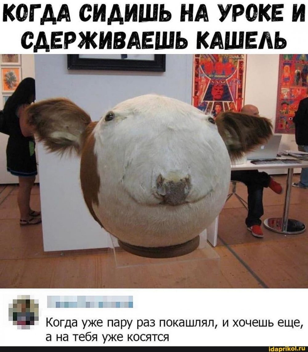 Корова Мем